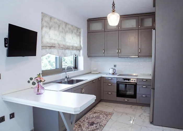 Aroma Elias Хриси-Амудия